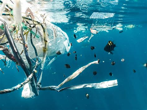 Science and Partnerships Key to Tackling Marine Plastic Pollution ...