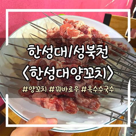 [한성대양꼬치] 한성대 양꼬치 꿔바로우 옥수수국수 맛집 내돈내산 네이버 블로그