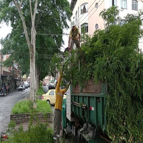 Prefeitura Intensifica A Es De Poda Preventiva De Rvores Na Cidade