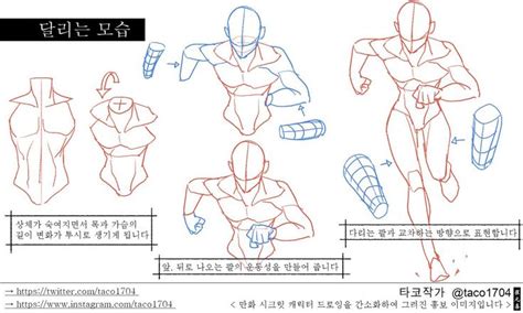 타코작가 On X 해부학 예술 그림 레퍼런스 만화 그리기 강좌