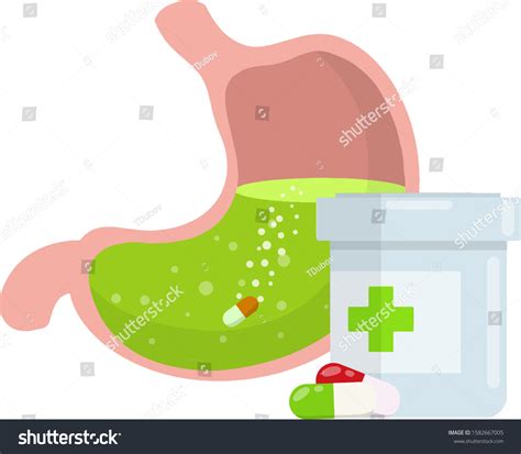 Stomach Pill Dissolving Drug Disease Human Stock Vector Royalty Free