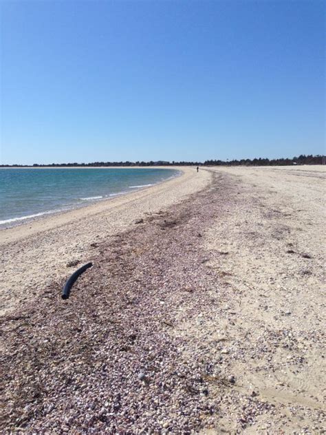 Free Images Beach Sea Coast Sand Ocean Sunlight Shore Material