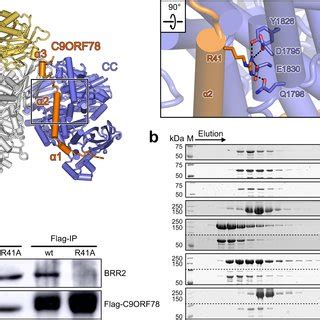 Interaction Of C Orf With U Snrna A Heat Map Displaying The Top