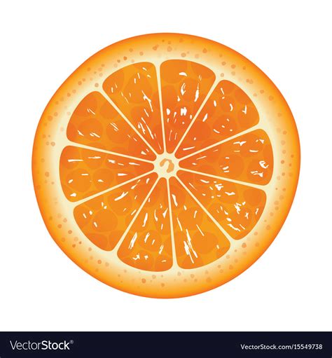 Orange Slice Isolated On White Background Vector Image