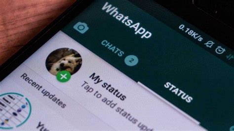 Cara Mudah Menonaktifkan Status Online Di Whatsapp Tribunnewswiki