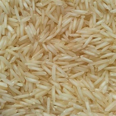 Organic Light White Sugandha Basmati Rice Origin India At Best Price