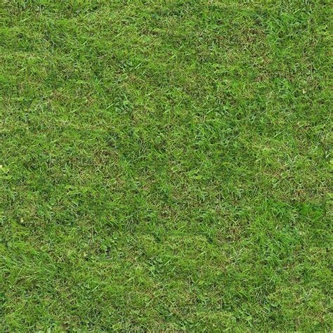 Download texture Seamless texture of grass for 3d max - number 12087 at ...