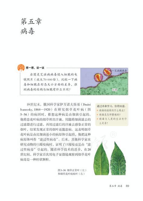 第五章 病毒2013年审定人教版八年级生物上册（高清）初中课本 中学课本网