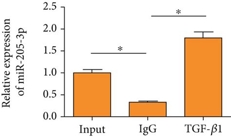 Interaction Between Mir P And Tgf A Rip Assay Showed The