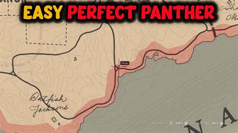 How To Get Perfect Panther Pelt Easily | RDR2 - YouTube