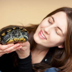 Why Is My Red Eared Slider Not Eating All Turtles