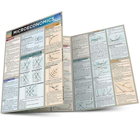 Quickstudy Microeconomics Laminated Study Guide