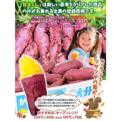 さつまいも 生芋 10kg 大分産 甘太くん（5kg×2箱） M〜2l 紅はるか べにはるか 大分のブランド芋 熟成 送料無料 食品 国華園