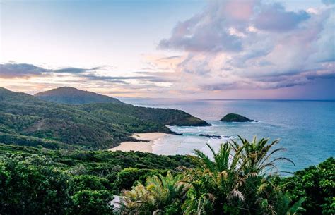 Explore The Top Walks In The Macleay Macleay Valley Coast