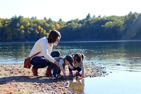 Fall on Walden Pond | Splash of Something