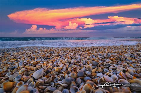 Jupiter Beach Entrance 49 Shells Along The Coast Hdr Photography By Captain Kimo