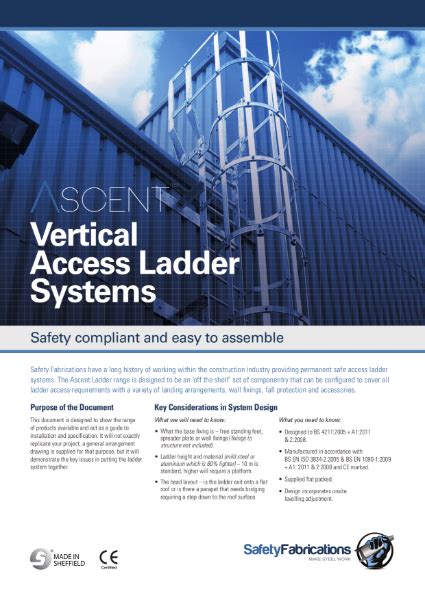 Permanently Fixed Vertical Ladder System Aluminium Ladders Safety