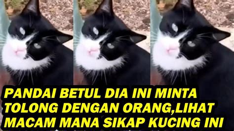 Pandai Betul Dia Minta Tolong Dengan Orang Lihat Macam Mana Sikap