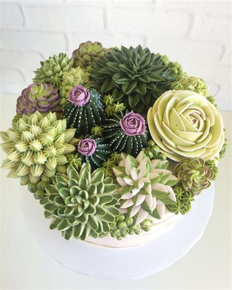 Succulent Cakes That Will Make You Drool A Tutorial Just For You