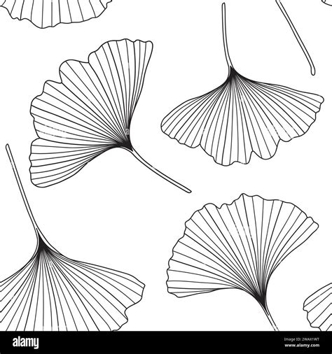 Floral Ginkgo Seamless Pattern Ginkgo Biloba Tree Leaf Black Outlines