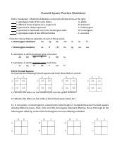 Complete Punnett Square Packet Docx Punnett Square Practice Worksheet