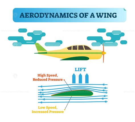 How the wing flies? Aerodynamics of a wing - air flow diagram with wind ...