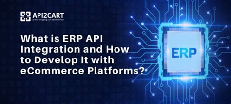 What Is Erp Api Integration In The Ecommerce Sphere Api2cart