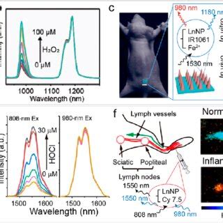 LnNPs Probe With Responsive Luminescence Spectrum Based On Filtration