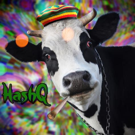 HashQ Weed Smoking Cow by Raendum on DeviantArt