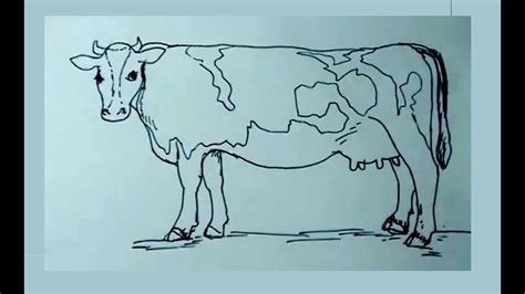 Como Dibujar Una Vaca Para Niños Cómo hacer un dibujo de una vaca