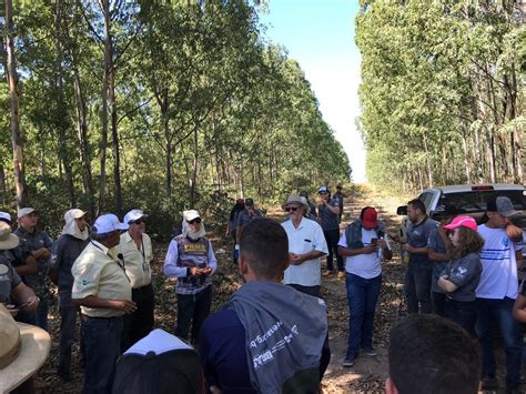 Senar E Embrapa Promovem Encerramento Do Projeto ABC Cerrado