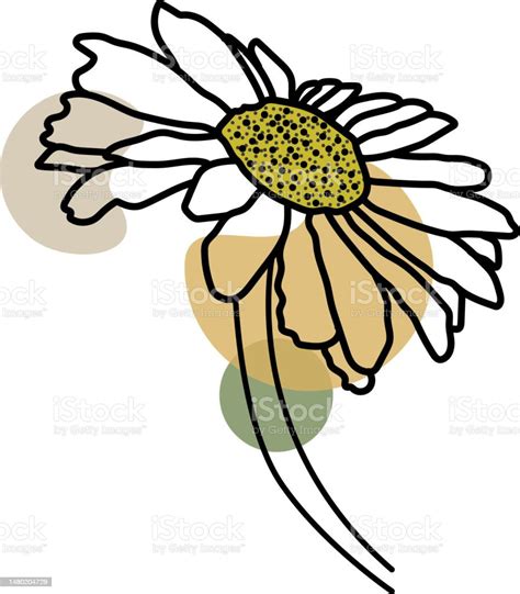 Daisy Flower Stock Illustration Download Image Now Abstract Art