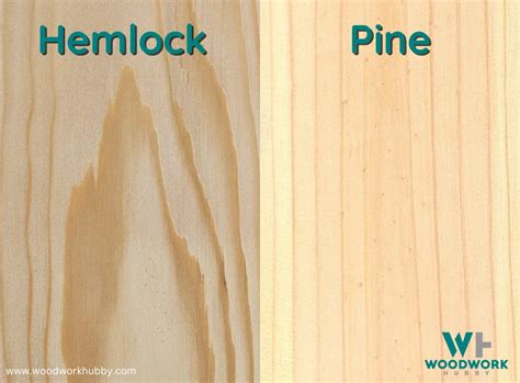 Hemlock Wood Vs Pine Which Is Better For Woodworking