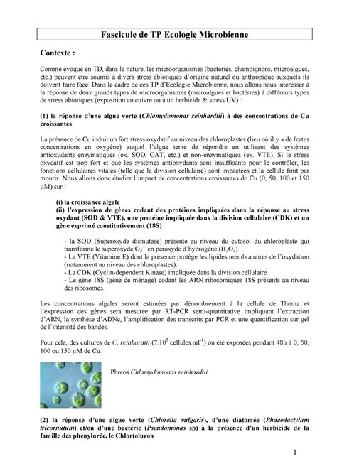 Fascicule Travaux Pratique Ecomic Final Fascicule De TP Ecologie