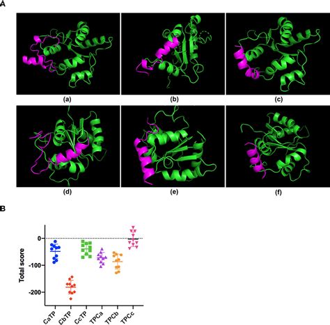 Frontiers Targeting The Tlr Receptor With A Novel Thymopentin