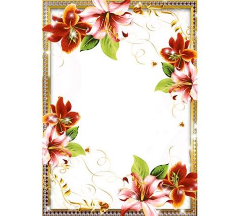 Рамки с цветами для фотошопа: Орхидеи | Flower frame, Dream pictures ...