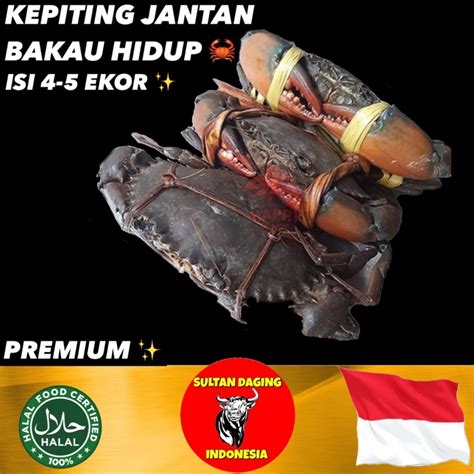 Jual KEPITING BAKAU PAPUA HIDUP 1 KG ISI 3 4 EKOR PREMIUM KEPITING