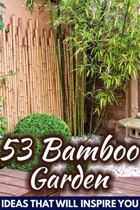 Bamboo Garden Ideas That Will Inspire You