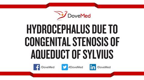 Hydrocephalus due to Congenital Stenosis of Aqueduct of Sylvius