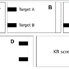 Schematic Representation Of The Task Not To Scale A Screen