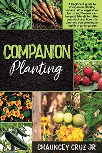 Companion Planting A Beginners Guide To Companion Planting Secrets