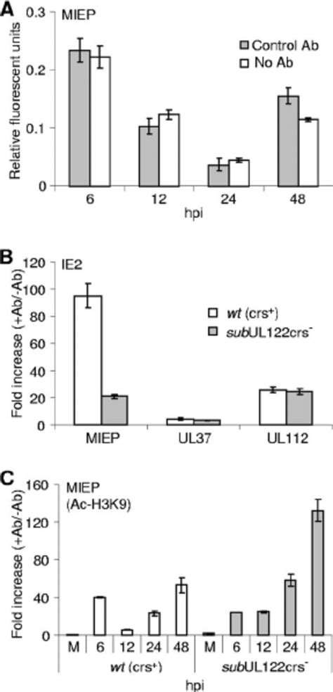 The Cellular Crebatf Transcription Factor Binds To The Miep And Ul112