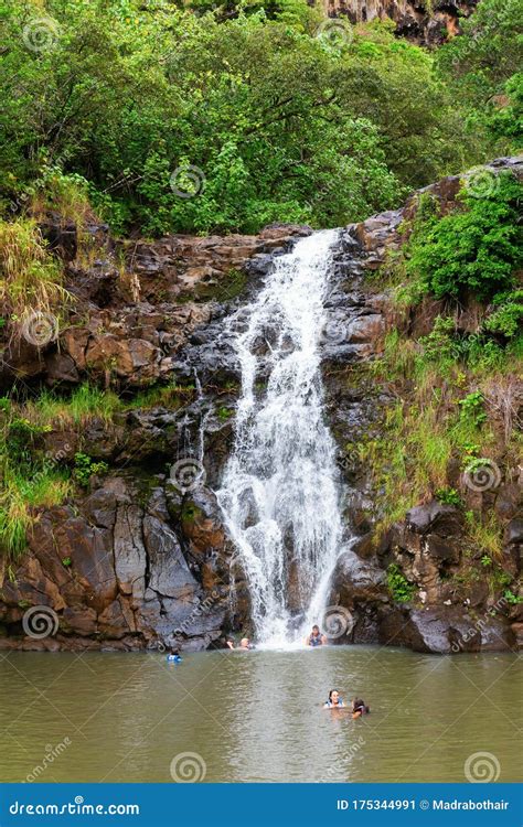 Waterfall In The Botanical Garden Of Waimea Valley Oahu Hawaii