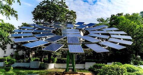 Shade Power And Beauty The Magic Of Solar Trees Kondaas Automation