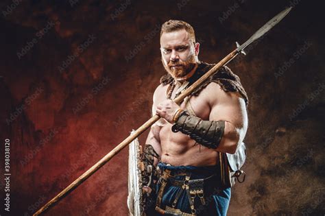 Muscular And Nude Viking With Fur And Beard Holding Spear And Shield In Dark Red Background