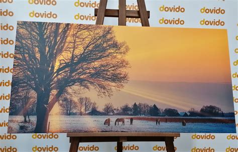 Wandbild Pferde In Verschneiter Landschaft Dovido De