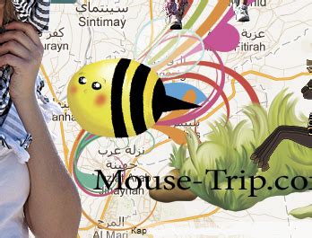 Mouse-Trip.com