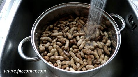 HOW TO COOK A PERFECT BOILED PEANUT OR NILAGANG MANI