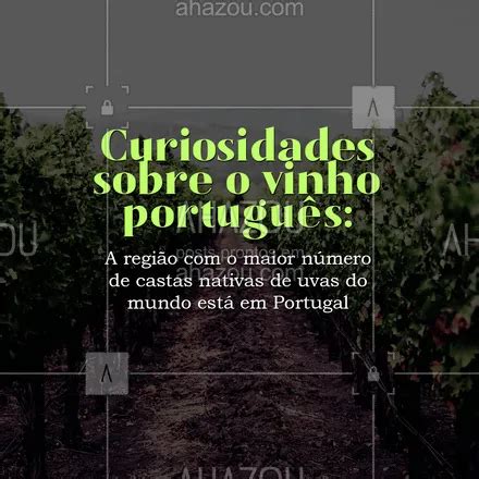 Posts Legendas E Frases De Bares Curiosidades Vinho Alentejo Vinho