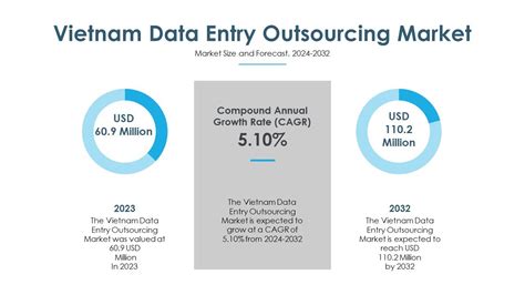 Vietnam Data Entry Outsourcing Services Market Analysis And Outlook